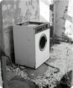White Goods Circularity