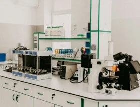 lab