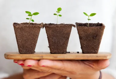 sustainable