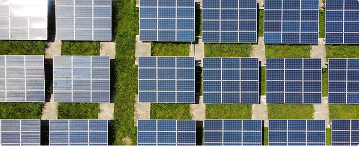 Sustainable Future (1)